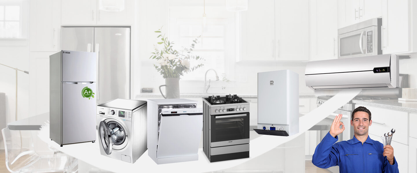 Çarşıbaşı Warmhaus Servisi